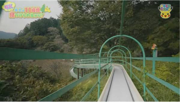 「11種類のポケモンを探せ！」自然の中にいるポケモンのクイズが意外と難しい！？【ポケモン】