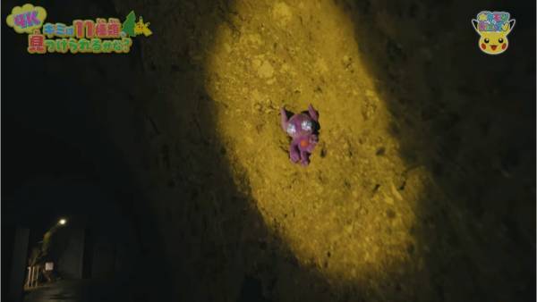 「11種類のポケモンを探せ！」自然の中にいるポケモンのクイズが意外と難しい！？【ポケモン】