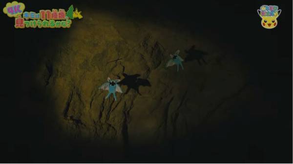 「11種類のポケモンを探せ！」自然の中にいるポケモンのクイズが意外と難しい！？【ポケモン】