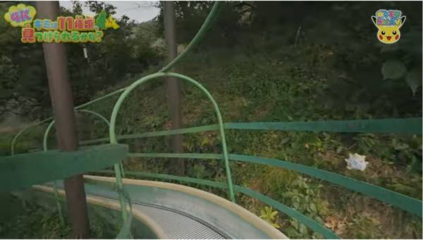 「11種類のポケモンを探せ！」自然の中にいるポケモンのクイズが意外と難しい！？【ポケモン】