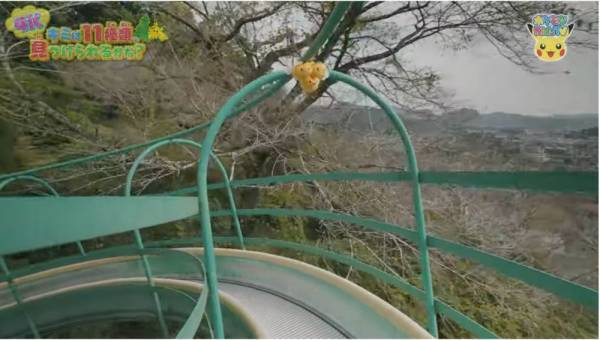 「11種類のポケモンを探せ！」自然の中にいるポケモンのクイズが意外と難しい！？【ポケモン】