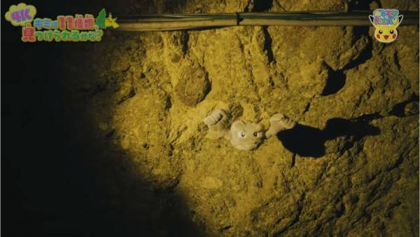 「11種類のポケモンを探せ！」自然の中にいるポケモンのクイズが意外と難しい！？【ポケモン】