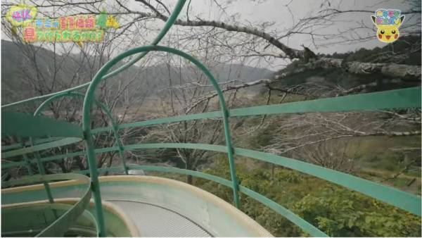 「11種類のポケモンを探せ！」自然の中にいるポケモンのクイズが意外と難しい！？【ポケモン】