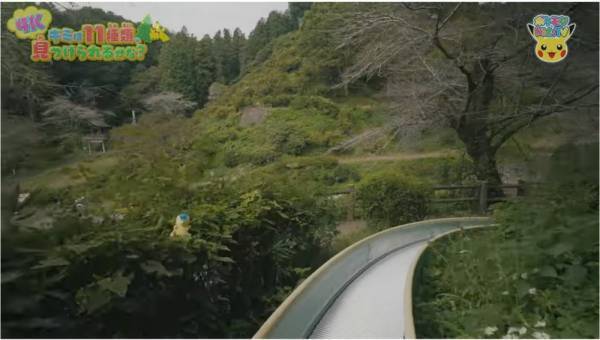 「11種類のポケモンを探せ！」自然の中にいるポケモンのクイズが意外と難しい！？【ポケモン】