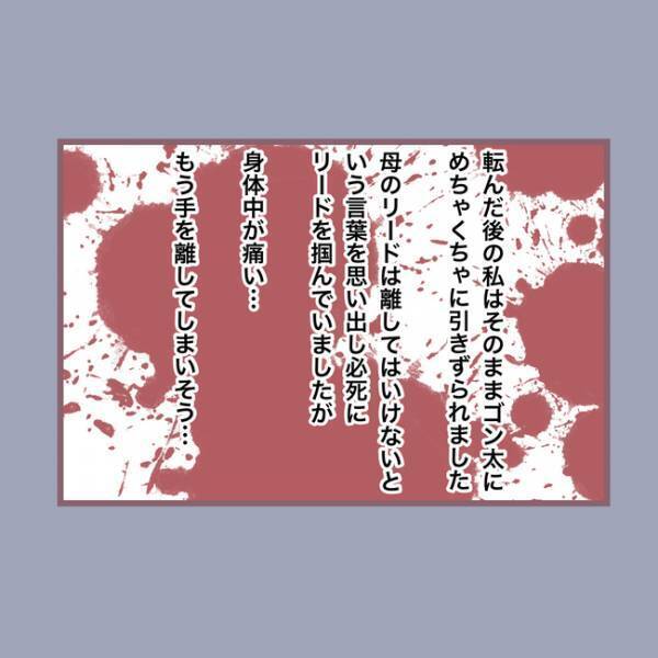 ＜毒親との20年間＞「え！？」大型犬の散歩を押し付けられケガをして泣く娘に母親が信じがたい疑いを