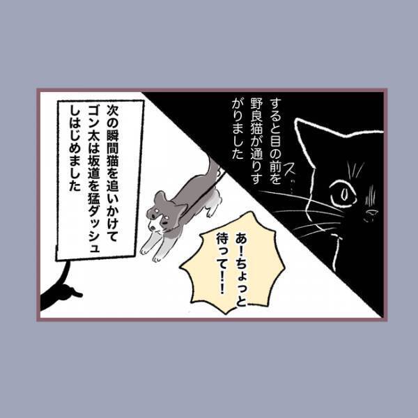 ＜毒親との20年間＞「え！？」大型犬の散歩を押し付けられケガをして泣く娘に母親が信じがたい疑いを