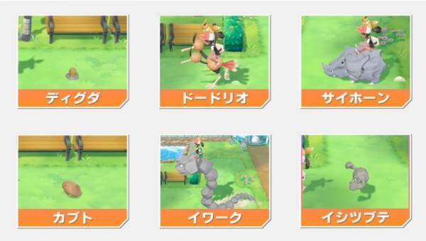 ひっかけ問題もあり！？全問正解できるかな？ポケモンのなかまわけに挑戦しよう！【ポケモン】