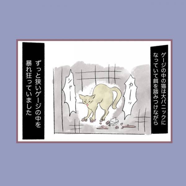 ＜毒親との20年間＞「命をなんだと思ってる？」愛犬の死を目の前に母親が口にした衝撃の言葉とは