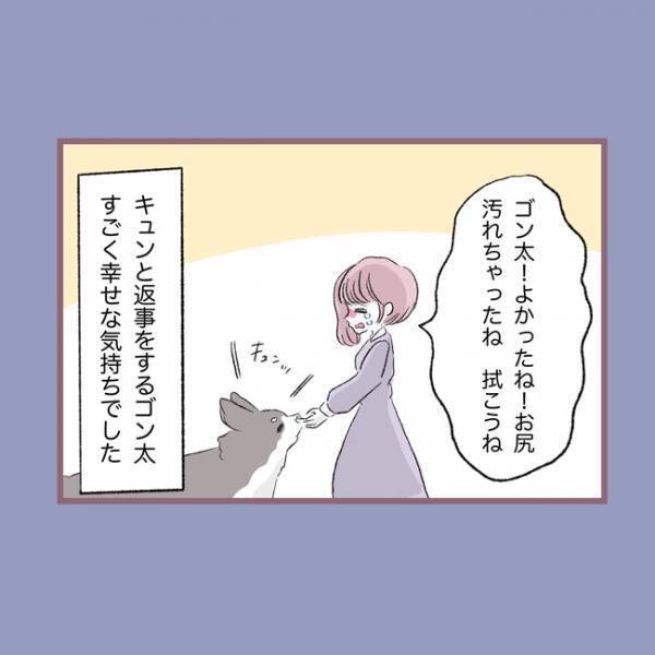 ＜毒親との20年間＞「命をなんだと思ってる？」愛犬の死を目の前に母親が口にした衝撃の言葉とは