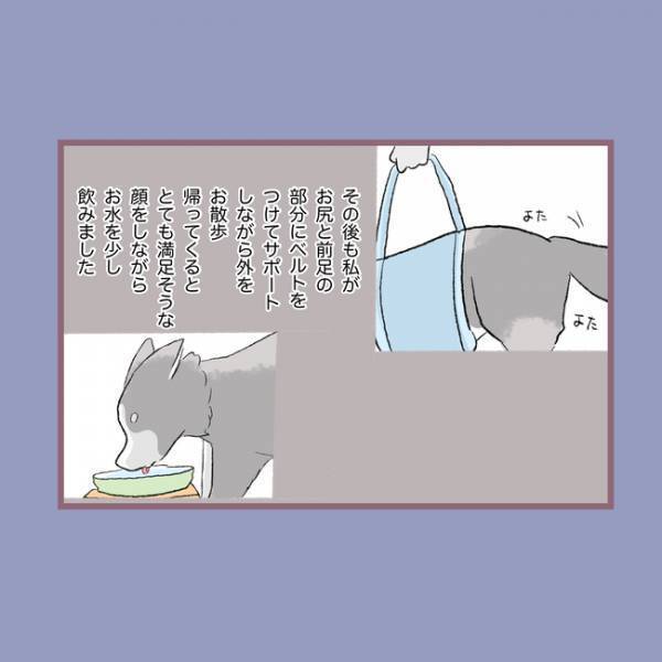 ＜毒親との20年間＞「命をなんだと思ってる？」愛犬の死を目の前に母親が口にした衝撃の言葉とは