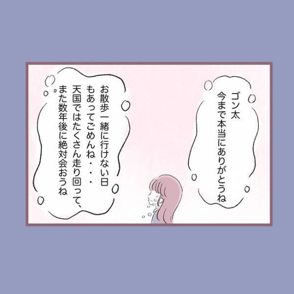 ＜毒親との20年間＞「命をなんだと思ってる？」愛犬の死を目の前に母親が口にした衝撃の言葉とは