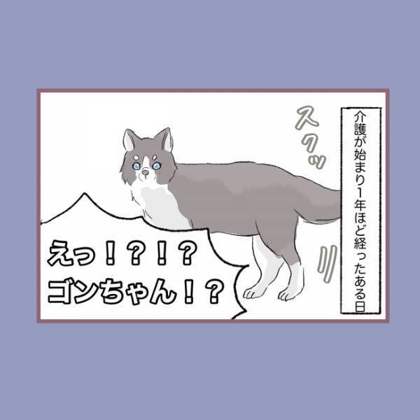 ＜毒親との20年間＞「命をなんだと思ってる？」愛犬の死を目の前に母親が口にした衝撃の言葉とは