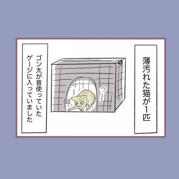 ＜毒親との20年間＞「命をなんだと思ってる？」愛犬の死を目の前に母親が口にした衝撃の言葉とは
