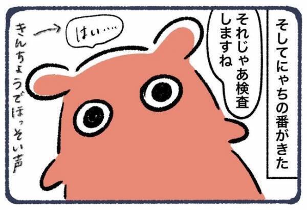 ＜子宮頸がん検診で事件＞「じゃあ始めますね」ビクッ！子宮の入り口に何かが入ってきて！？