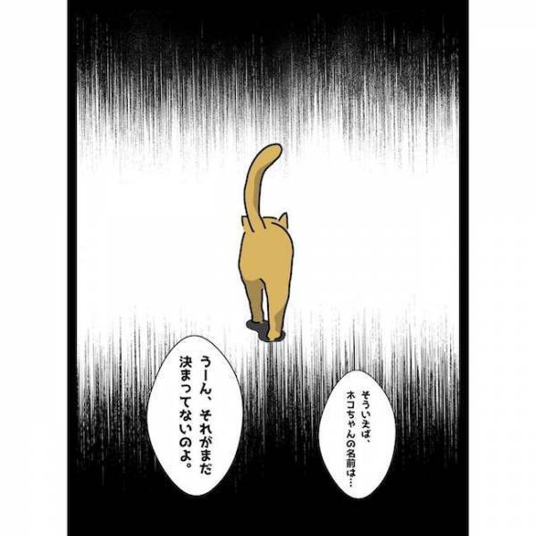 「…どうして？」擦り寄ってきた義母の猫。息子を見ると豹変しまさかの＜義母の猫が招いたトラブル＞