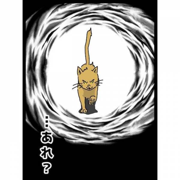 「…どうして？」擦り寄ってきた義母の猫。息子を見ると豹変しまさかの＜義母の猫が招いたトラブル＞