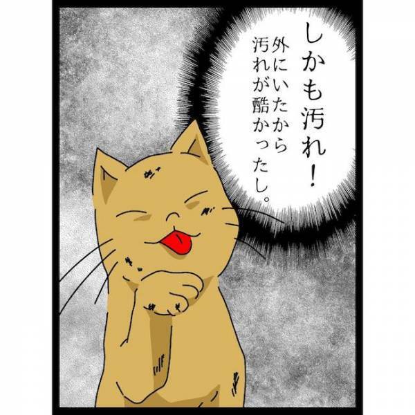 「は？」汚れまみれで凶暴な猫を息子の側に放置する義母。怒ったママは＜義母の猫が招いたトラブル＞