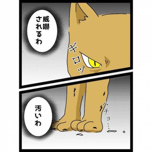 「は？」汚れまみれで凶暴な猫を息子の側に放置する義母。怒ったママは＜義母の猫が招いたトラブル＞