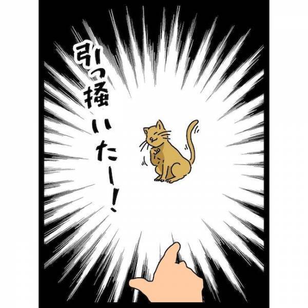 「まさか…」血を流して泣き叫ぶ息子が指さした先には驚愕の！？＜義母の猫が招いたトラブル＞