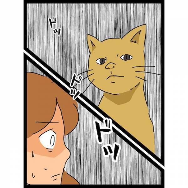 「まさか…」血を流して泣き叫ぶ息子が指さした先には驚愕の！？＜義母の猫が招いたトラブル＞