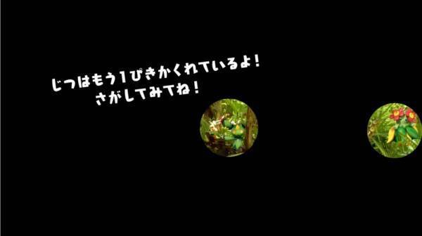 「ポケモンを探してみよう！」大人も苦戦！自然の中に隠れているポケモン探しが、超難しい！？