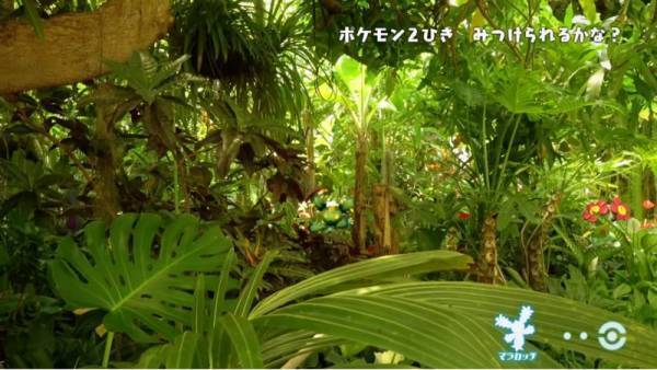 「ポケモンを探してみよう！」大人も苦戦！自然の中に隠れているポケモン探しが、超難しい！？