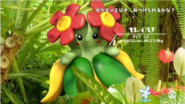 「ポケモンを探してみよう！」大人も苦戦！自然の中に隠れているポケモン探しが、超難しい！？