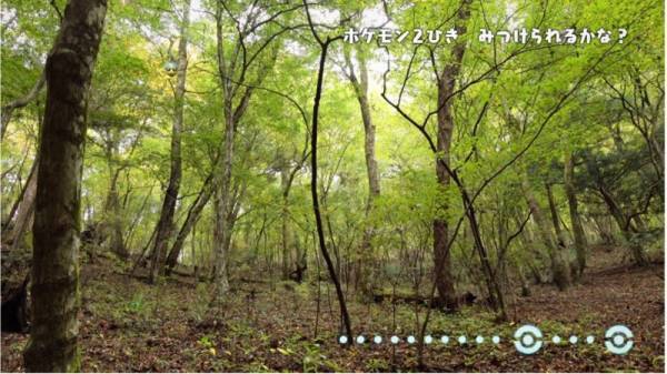 「ポケモンを探してみよう！」大人も苦戦！自然の中に隠れているポケモン探しが、超難しい！？