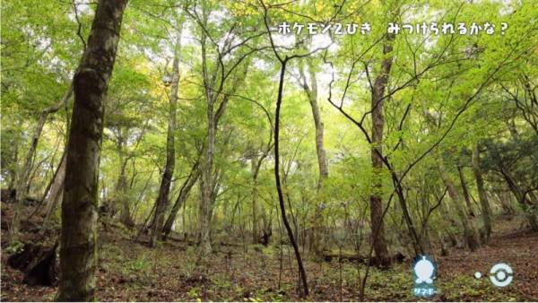 「ポケモンを探してみよう！」大人も苦戦！自然の中に隠れているポケモン探しが、超難しい！？