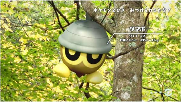 「ポケモンを探してみよう！」大人も苦戦！自然の中に隠れているポケモン探しが、超難しい！？
