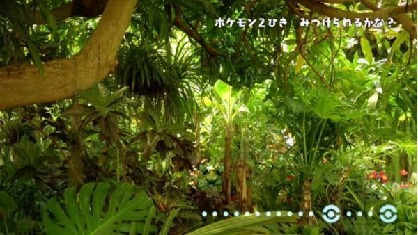 「ポケモンを探してみよう！」大人も苦戦！自然の中に隠れているポケモン探しが、超難しい！？