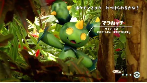 「ポケモンを探してみよう！」大人も苦戦！自然の中に隠れているポケモン探しが、超難しい！？