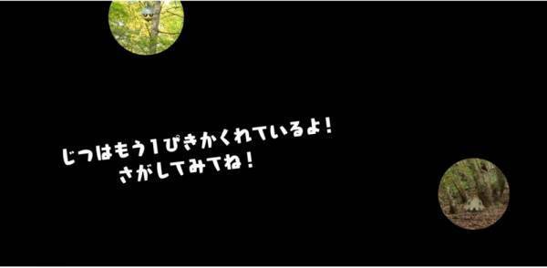 「ポケモンを探してみよう！」大人も苦戦！自然の中に隠れているポケモン探しが、超難しい！？
