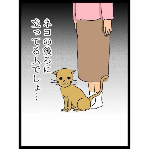 「…え？」義母の猫に傷つけられた子どもを見て、夫が驚愕の発言を＜義母の猫が招いたトラブル＞
