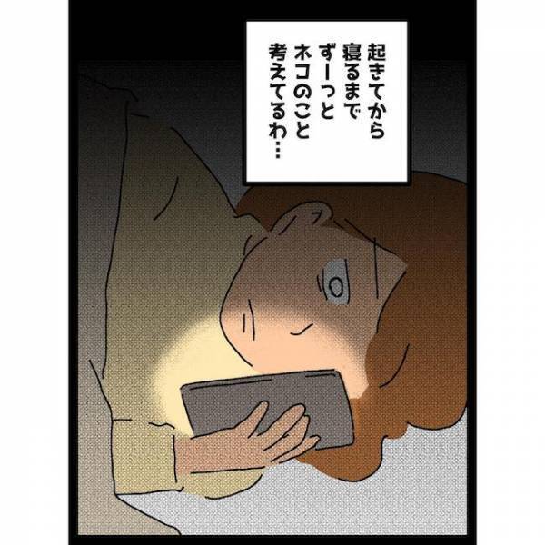 「嘘でしょ…」 猫に子どもを傷つけられ、検索した結果まさかの＜義母の猫が招いたトラブル＞