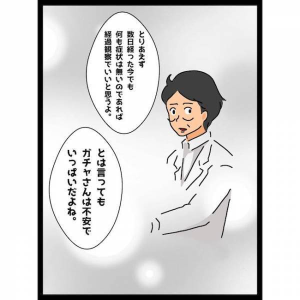 「ヤバい…」うっかり行為で胎児に影響が？焦る妻に夫がまさかの言葉を＜義母の猫が招いたトラブル＞