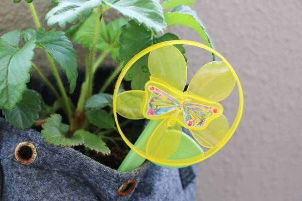 【マクドナルド】ハッピーセットの新作おもちゃを全部見せ！はらぺこあおむしの激カワおもちゃ6つ♡