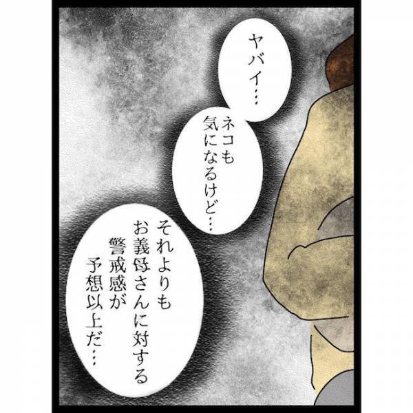 「ヤバい…」義母が乳児を汚れた手で抱っこ！？すると夫がまさかの！？＜義母の猫が招いたトラブル＞