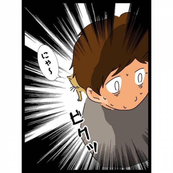 「何が起こった！？」夫の発言で義母が逆ギレしてまさかの！？＜義母の猫が招いたトラブル＞