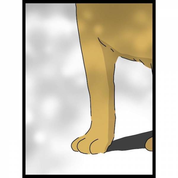 「何が起こった！？」夫の発言で義母が逆ギレしてまさかの！？＜義母の猫が招いたトラブル＞