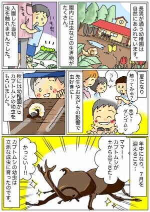 虫嫌いの息子が成長！カブトムシが教えてくれた命の尊さと生命のつながり