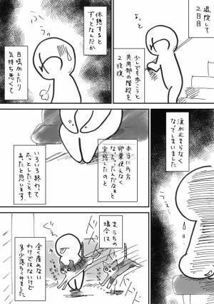 「ゴファッ！？」ネコのジャンプであわや失神！？退院直後に起きた悲劇とは＜7.5cmに腫れた卵巣＞