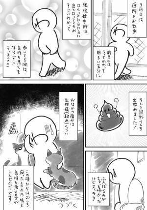 「ゴファッ！？」ネコのジャンプであわや失神！？退院直後に起きた悲劇とは＜7.5cmに腫れた卵巣＞