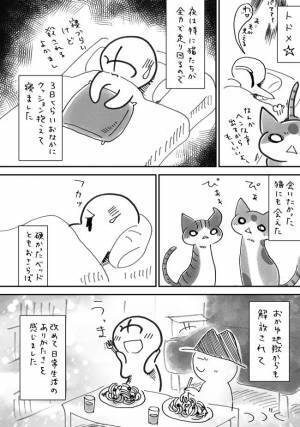 「ゴファッ！？」ネコのジャンプであわや失神！？退院直後に起きた悲劇とは＜7.5cmに腫れた卵巣＞