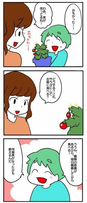 「なくなってた…」顔をこわばらせる息子。大切に育てたミニトマトがまさか！？＜食料を食いつくす夫＞
