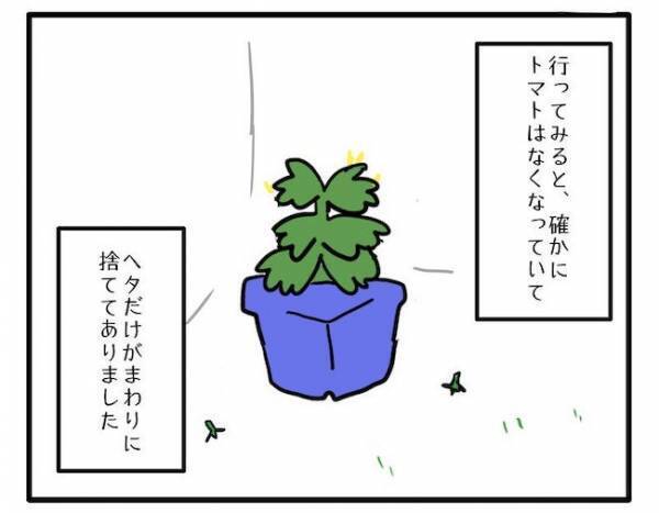 「なくなってた…」顔をこわばらせる息子。大切に育てたミニトマトがまさか！？＜食料を食いつくす夫＞