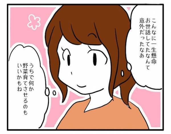 「なくなってた…」顔をこわばらせる息子。大切に育てたミニトマトがまさか！？＜食料を食いつくす夫＞