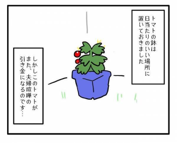「なくなってた…」顔をこわばらせる息子。大切に育てたミニトマトがまさか！？＜食料を食いつくす夫＞