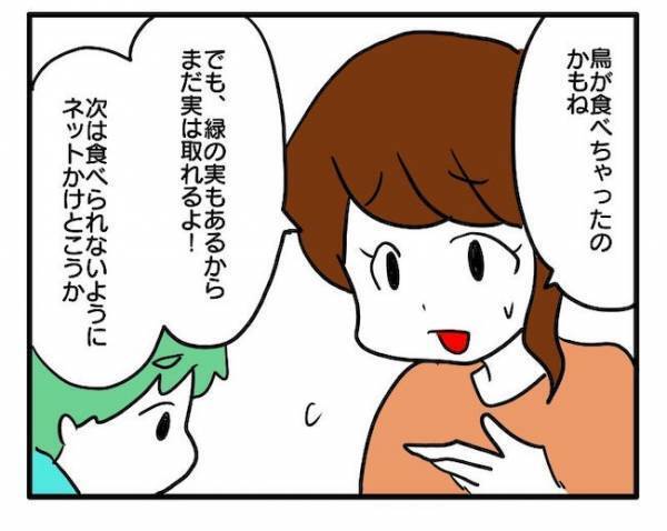 「なくなってた…」顔をこわばらせる息子。大切に育てたミニトマトがまさか！？＜食料を食いつくす夫＞