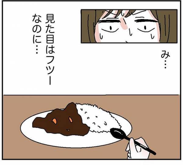 「ドボッ」彼に手作りカレーの感想を伝えると衝撃の行動に出て？！＜自称料理上手な男＞